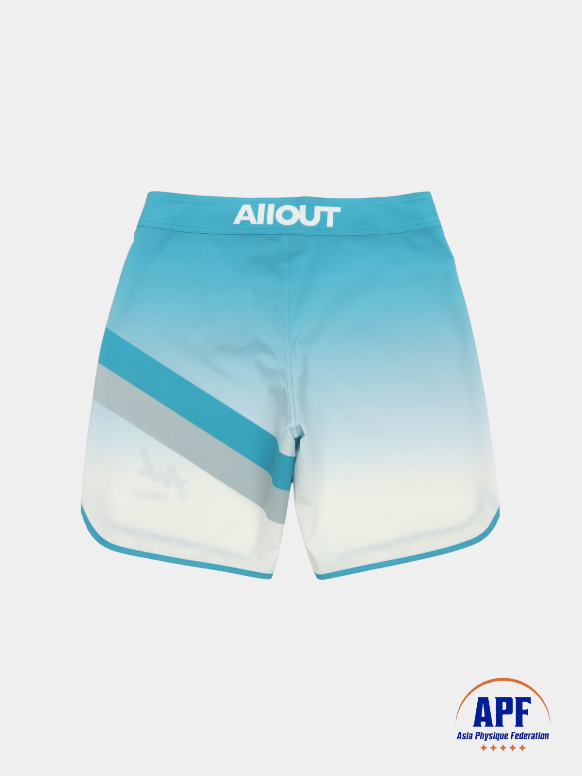 STAGE SHORTS AQUA STRIKE【APFモデル】