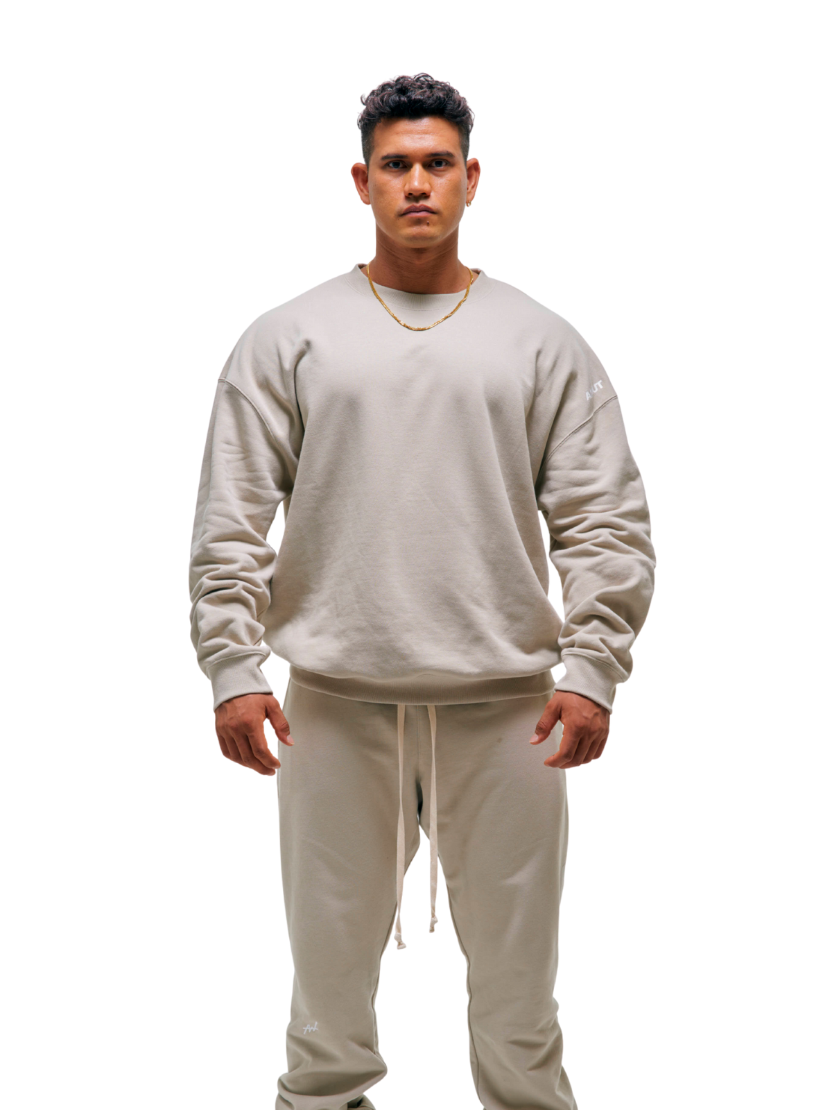 SWEAT SHIRT BIG LOGO(BEIGE)