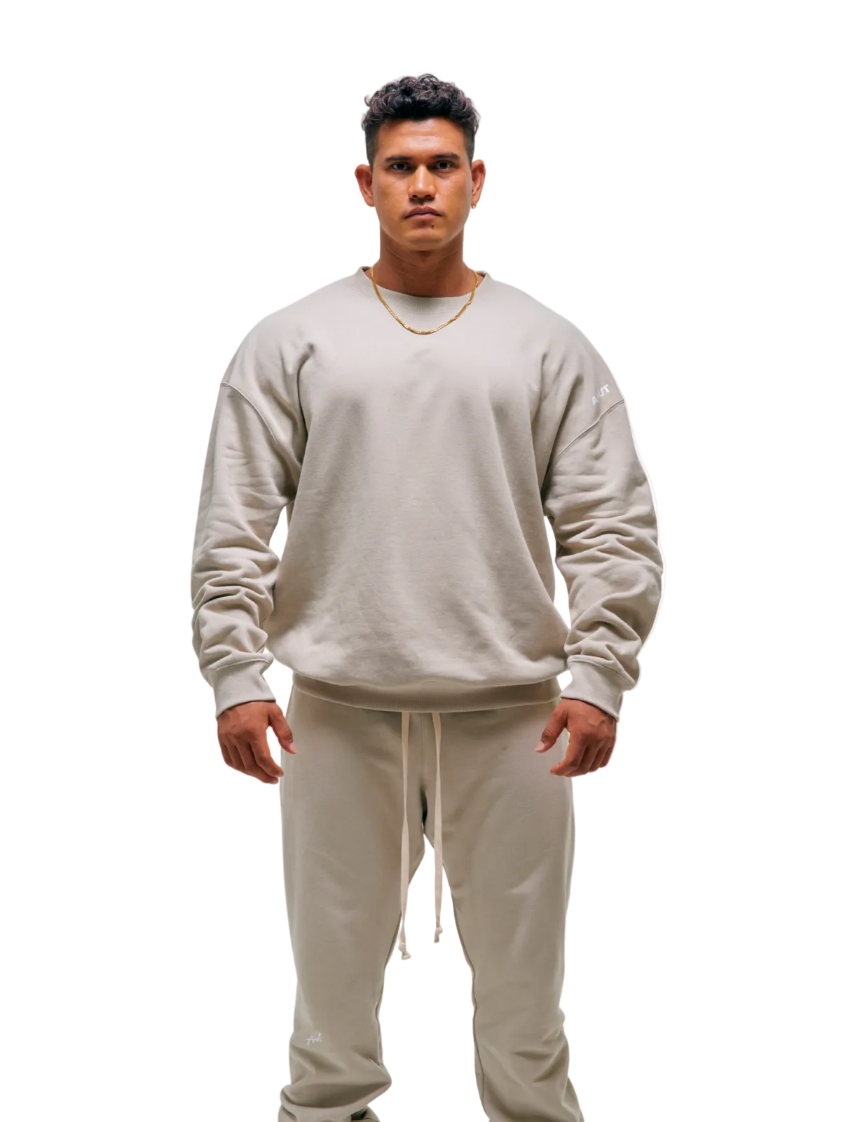 SWEAT SHIRT BIG LOGO(BEIGE)