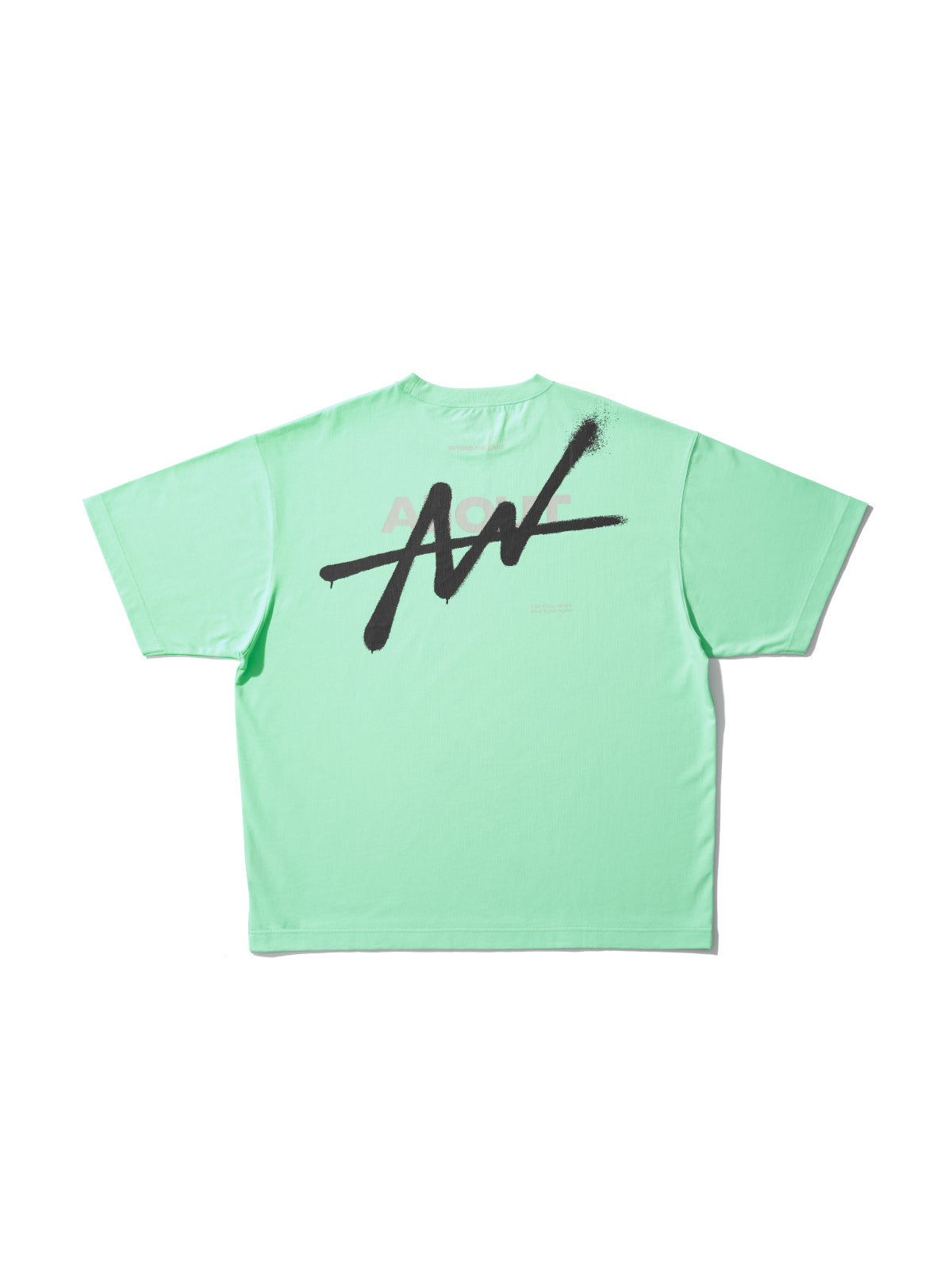 T-shirt SPRAY (ICE GREEN)