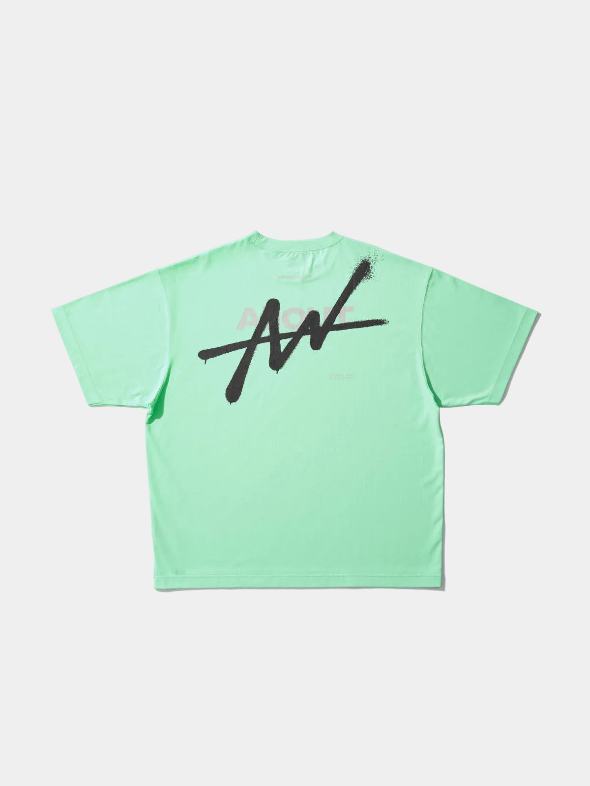 T-shirt SPRAY (ICE GREEN)