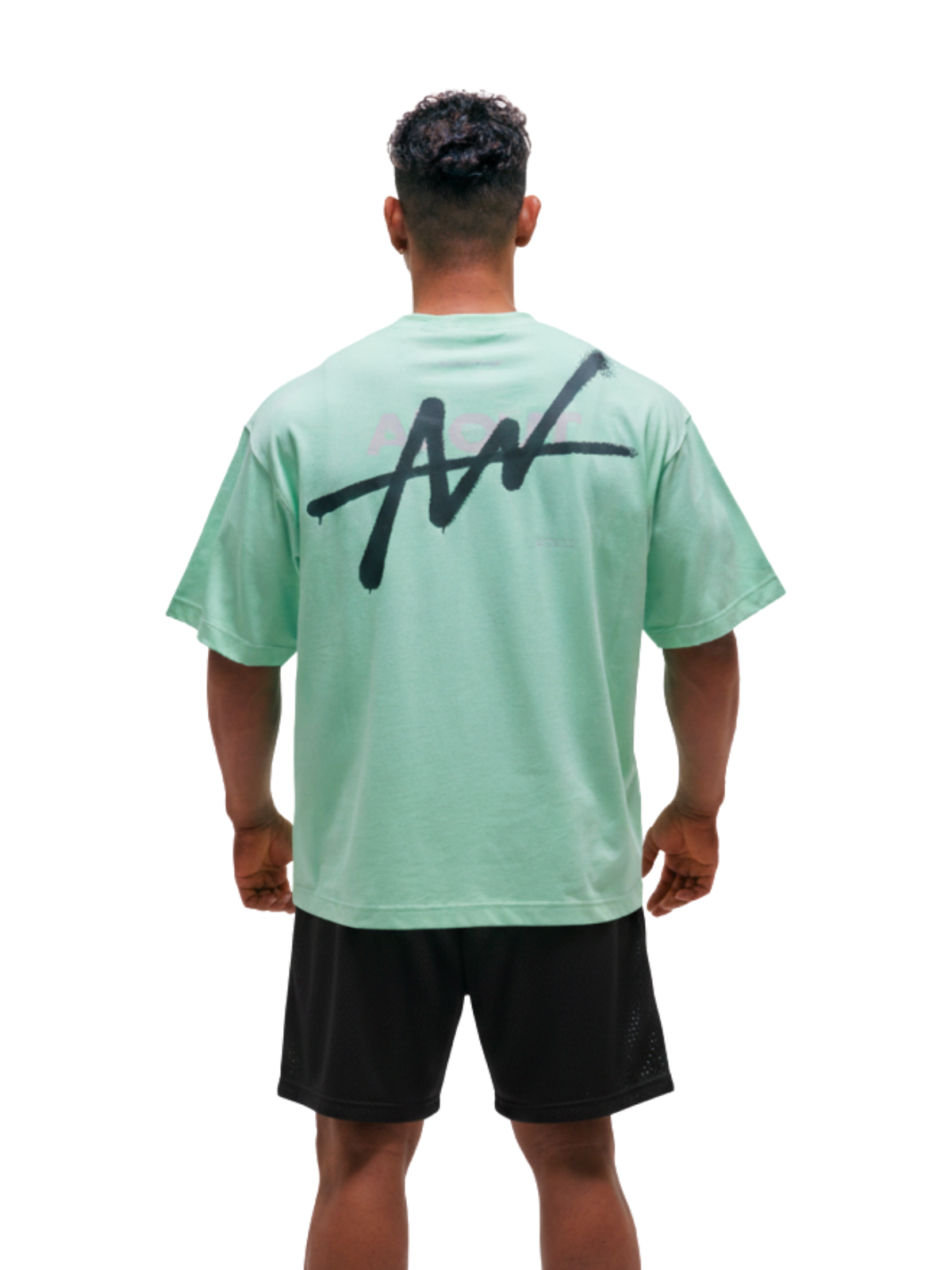 T-shirt SPRAY (ICE GREEN)