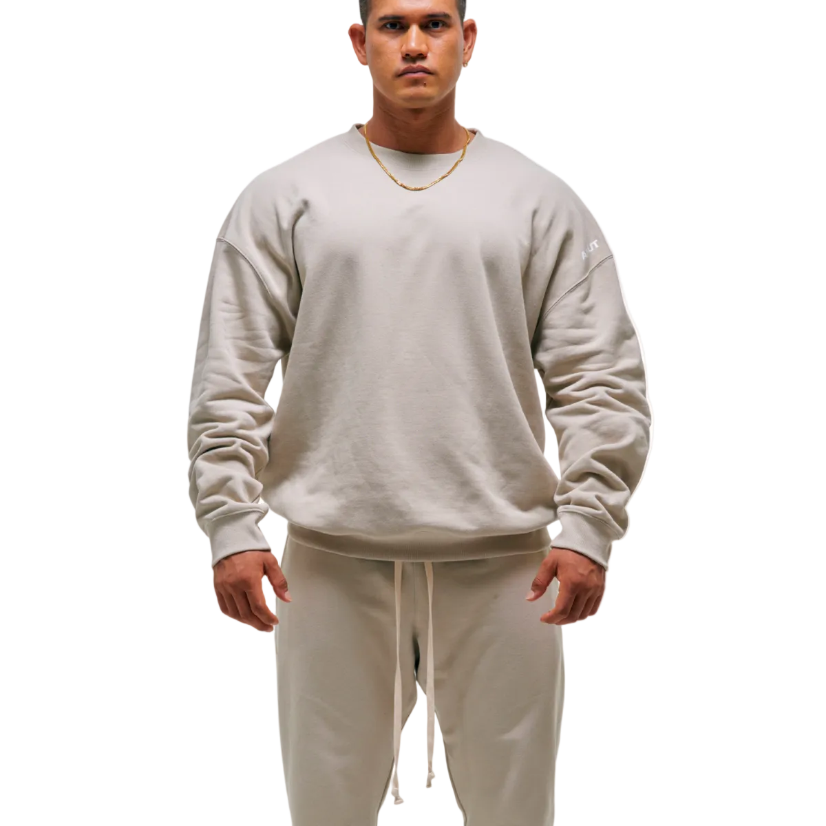 SWEAT SHIRT BIG LOGO (BEIGE)