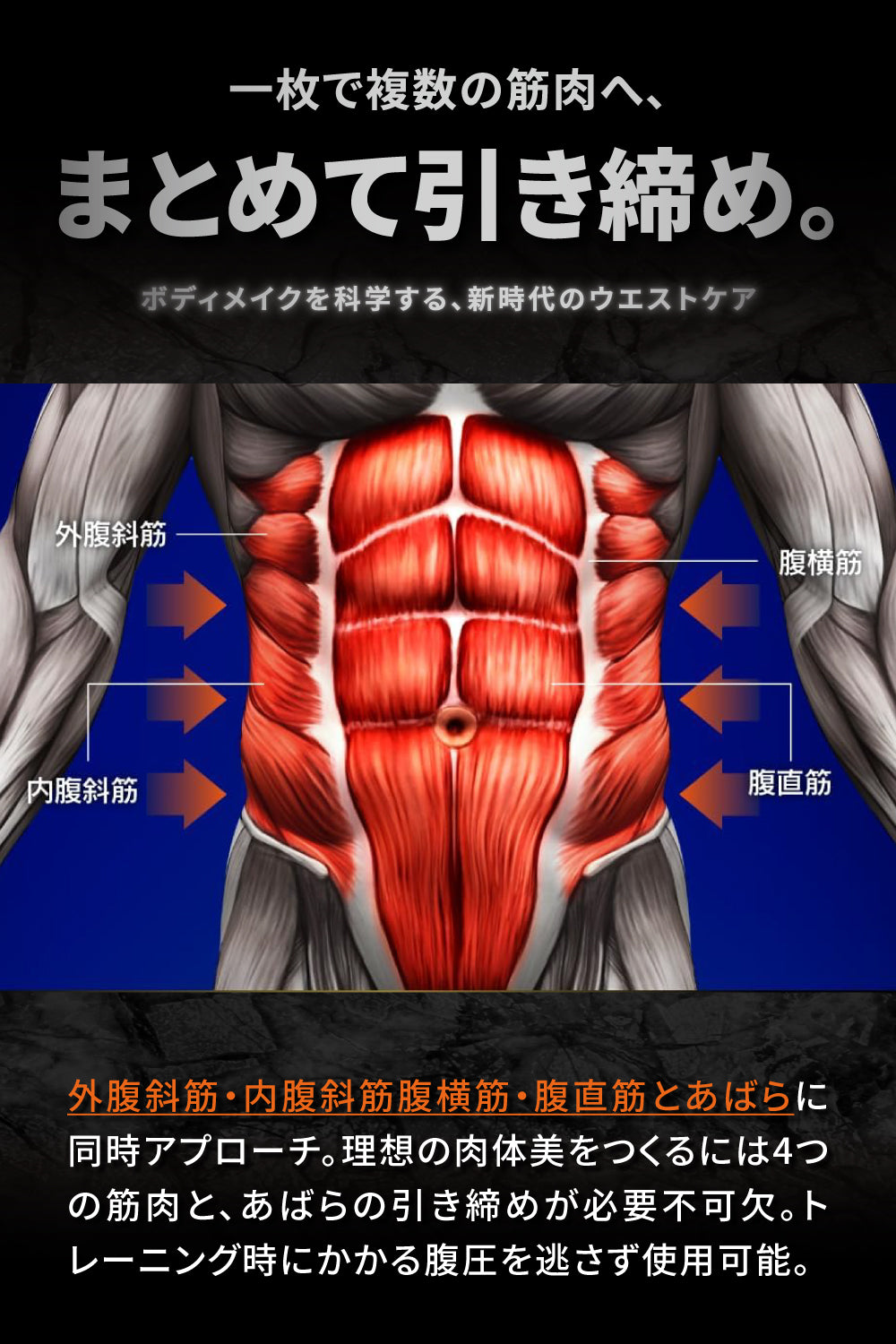 ALLOUT ウエストシェイパー Xper