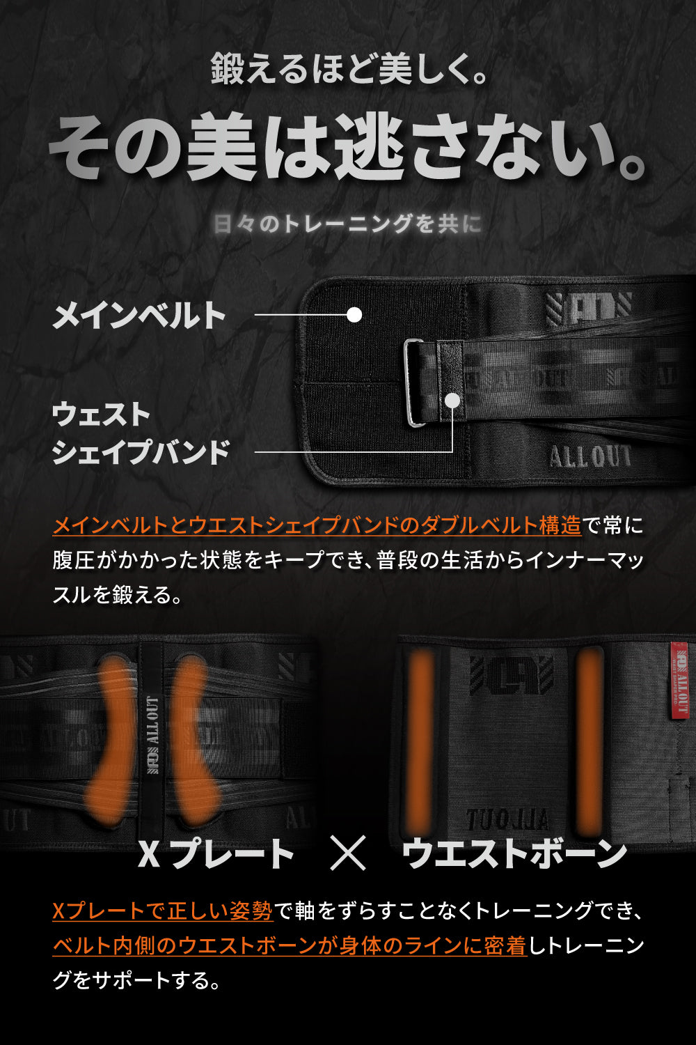 ALLOUT Waist Shaper Xper